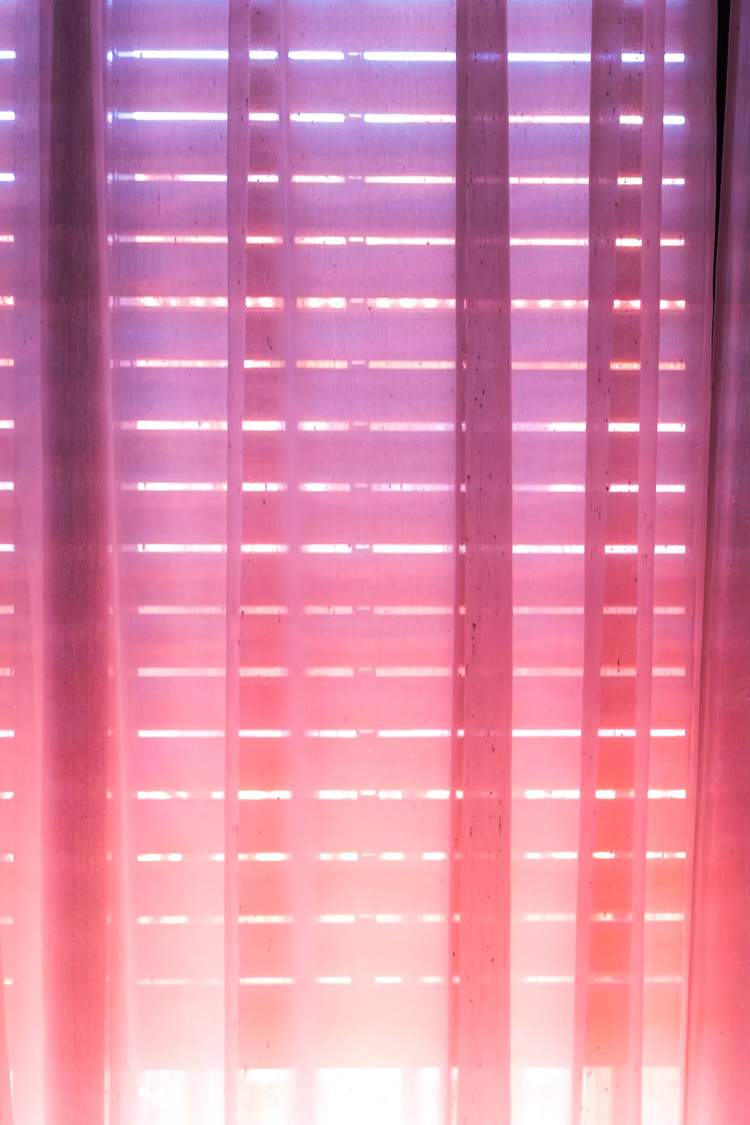 분홍과 보라 LED 막대가 커튼처럼 늘어선 무대 배경을 세로로 담은 사진